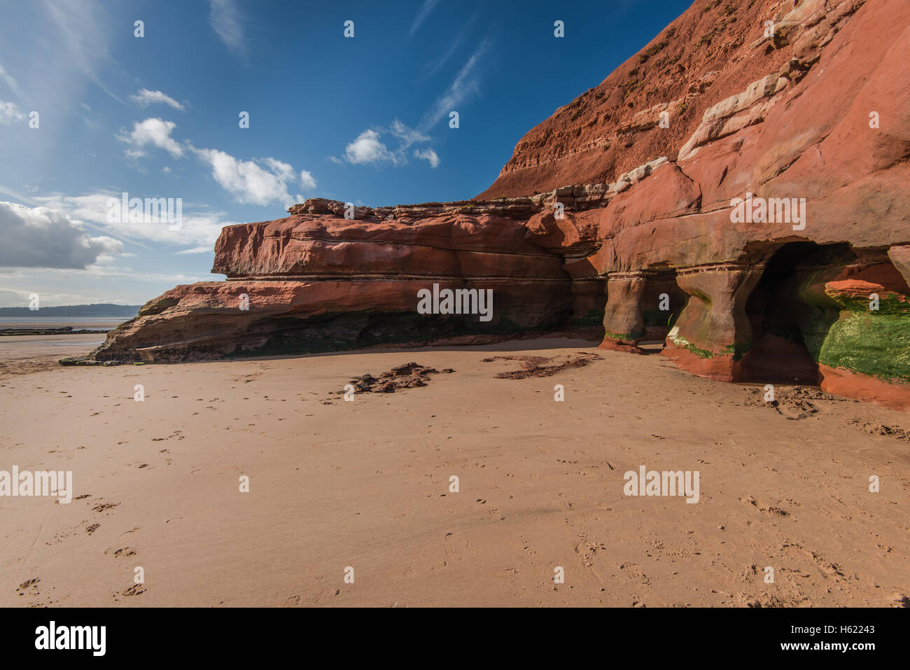 Belle mais spectaculaire falaise de la Côte Jurassique, site du patrimoine mondial en Angleterre, Devon, UK Banque D'Images