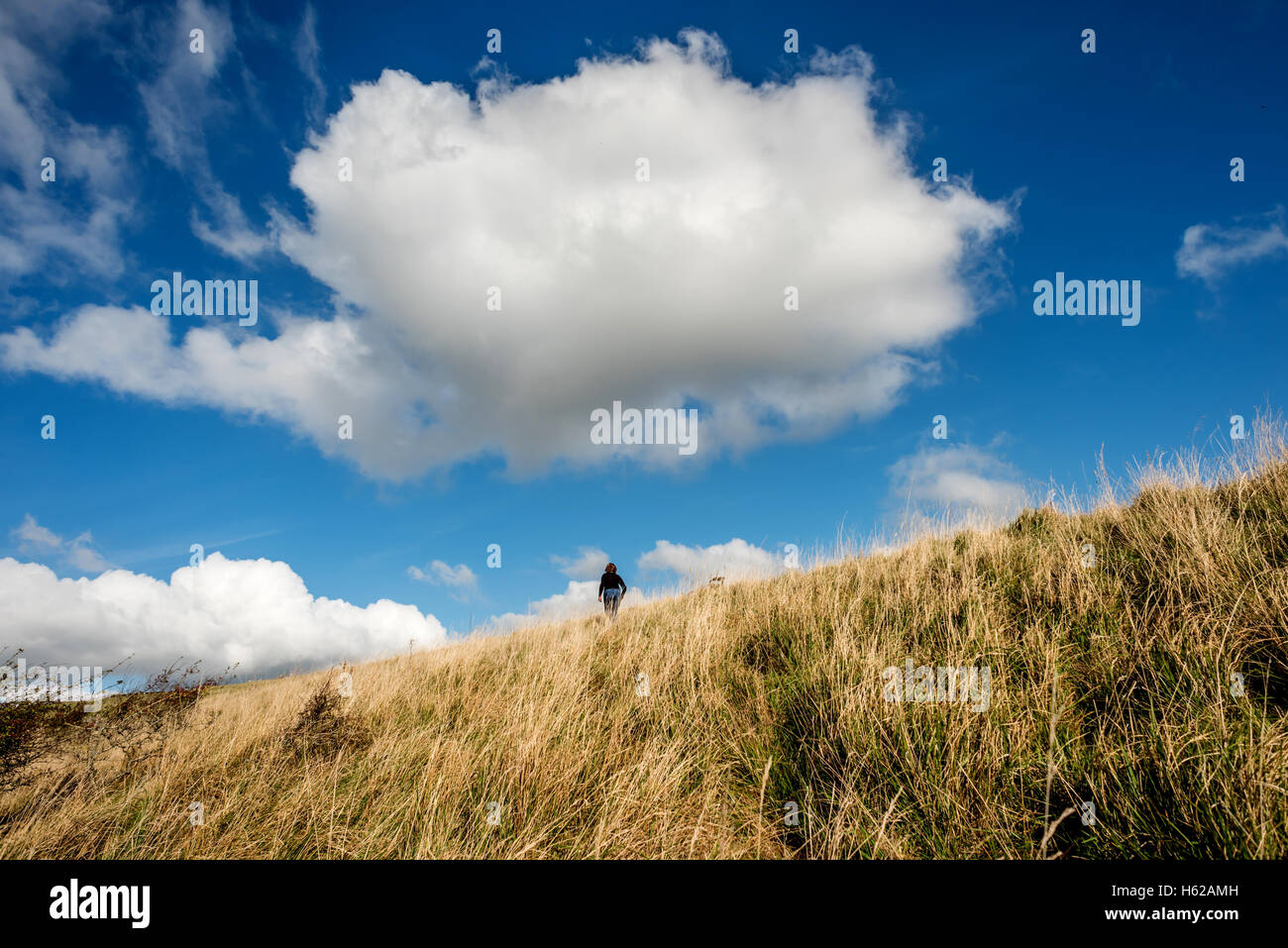 Une femme marche sur les South Downs sous un nuage Banque D'Images