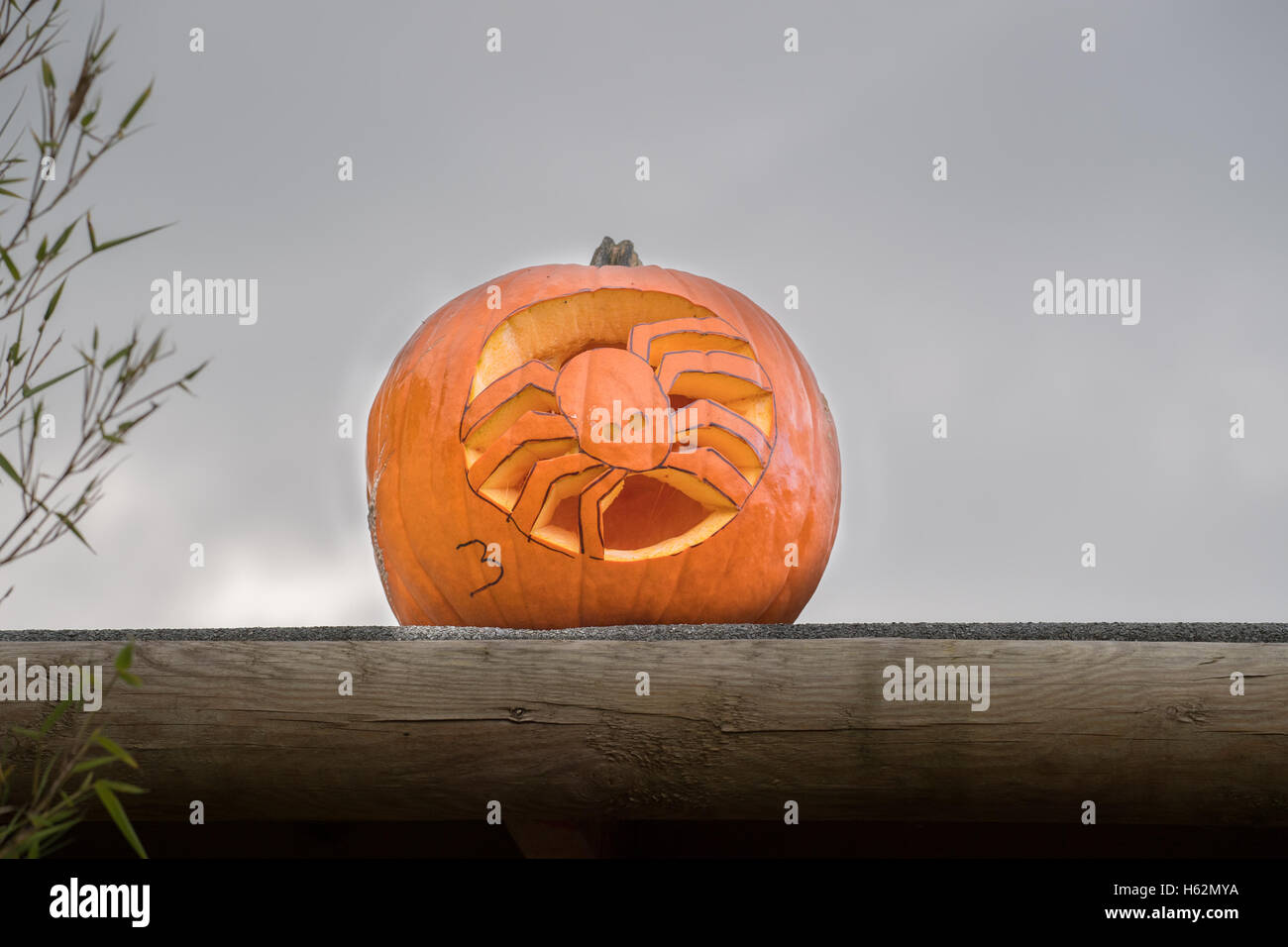 Castle Ashby, Northampton, Royaume-Uni. 23 Oct, 2015. L'un des douze citrouilles le long du sentier de la citrouille dans le parc du château d'Ashby, Northamptonshire, en Angleterre, le dimanche 23 octobre, le deuxième jour d'une citrouille Hunt qui a lieu tous les jours de l'école mi-terme. Credit : miscellany/Alamy Live News Banque D'Images