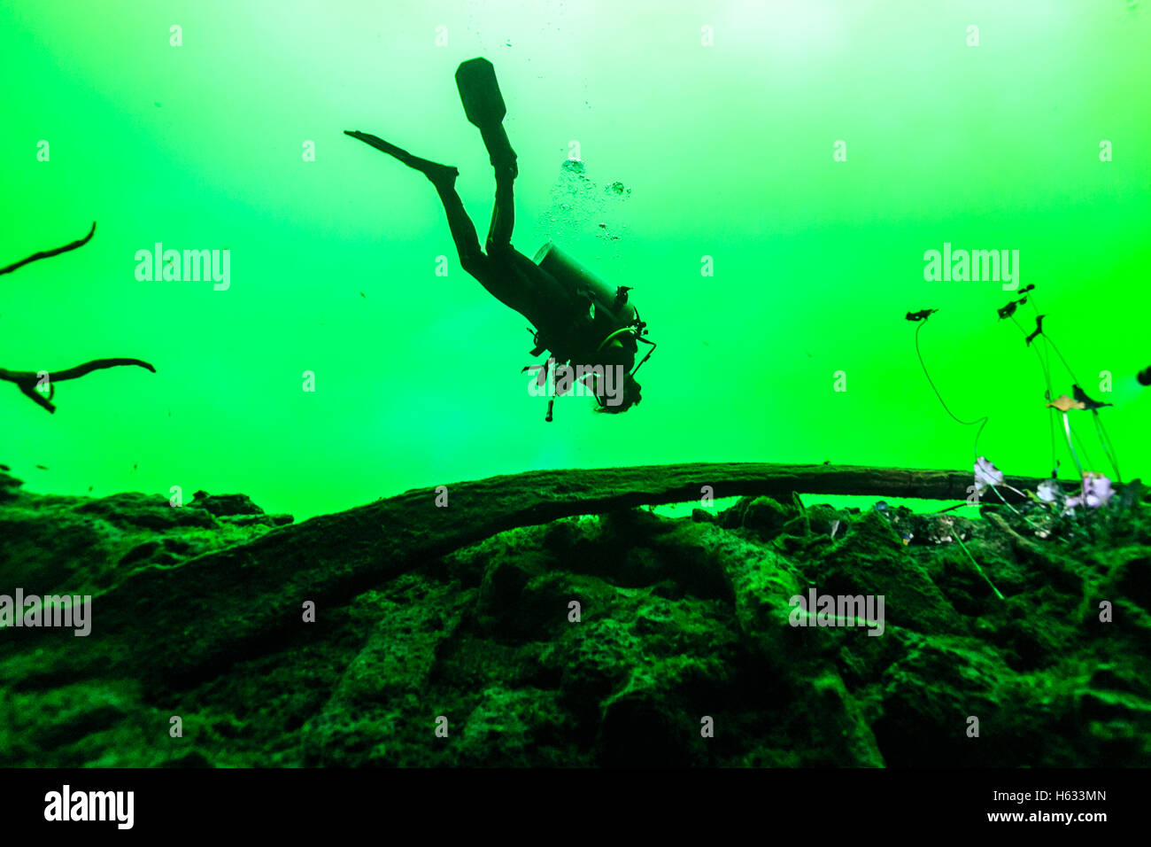 Scuba Diver dans Car Wash Cenote Aktun Ha, Tulum, péninsule du Yucatan, Mexique Banque D'Images