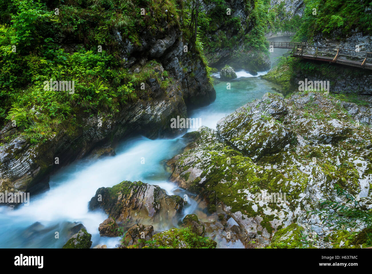 Rivière Radovna et gorges de Vintgar avec sentier pédestre et les roches près de Bled, Slovénie Banque D'Images