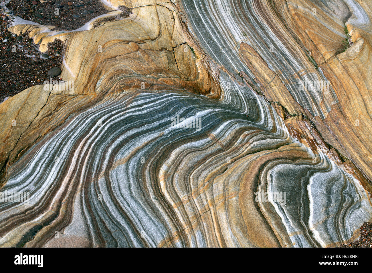 La stratification dans les plis et les affleurements rocheux colorés sur la plage de Spittal, près de Berwick-upon-Tweed, Northumberland. Banque D'Images