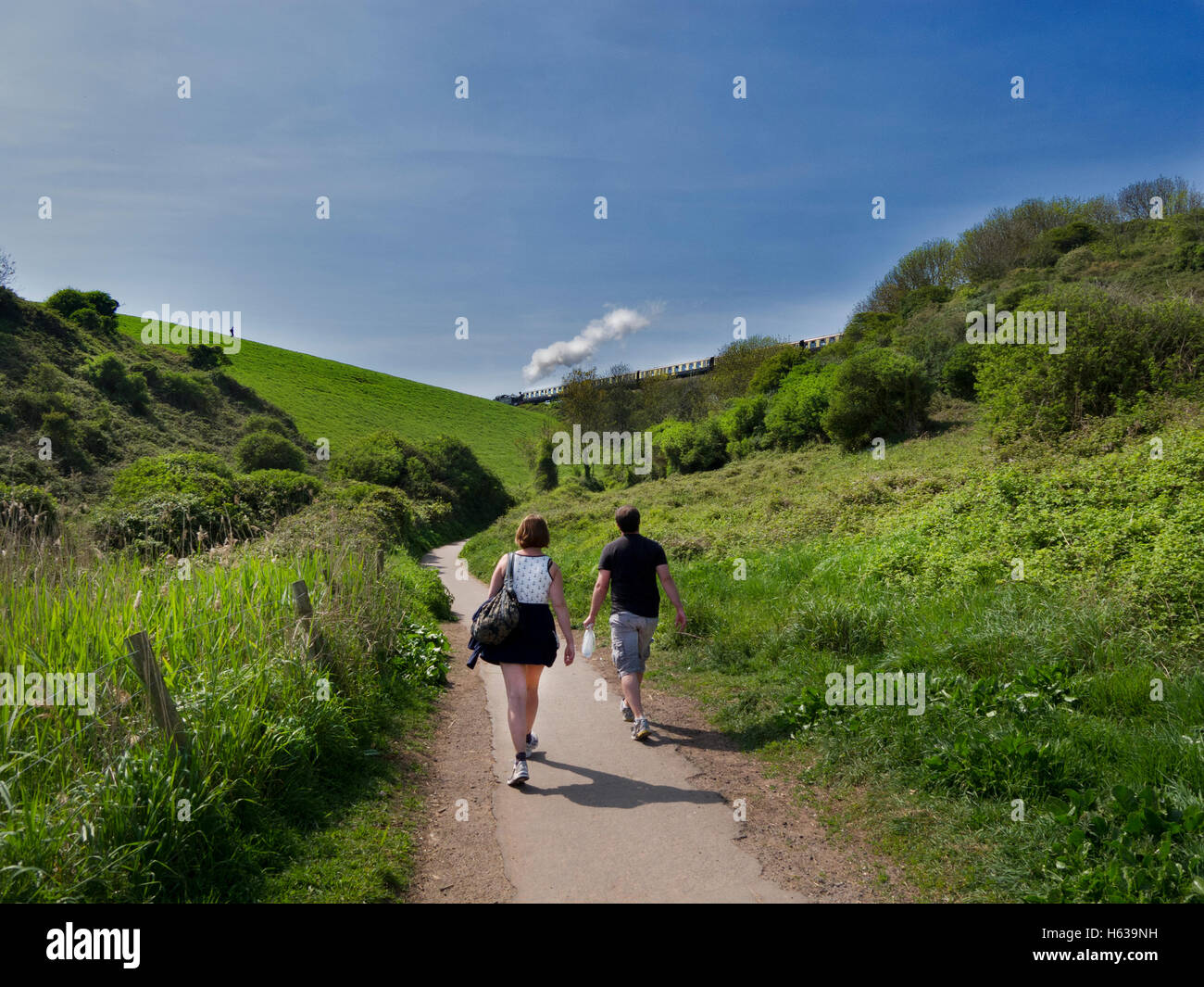 Jeune couple en train de marcher dans la campagne profitez d'une belle vue sur le chemin de fer à vapeur près de broadsands, Devon. Banque D'Images