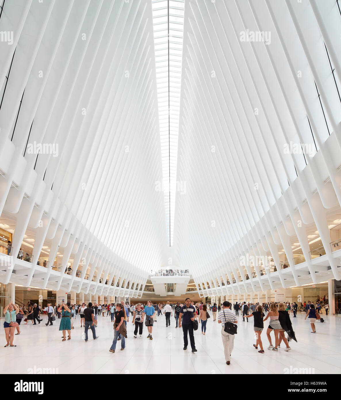 Comme le transport en commun de la cathédrale l'intérieur de hall des arrivées. L'Oculus, World Trade Center Transportation Hub, New York, United States. Architecte : Santiago Calatrava, 2016. Banque D'Images
