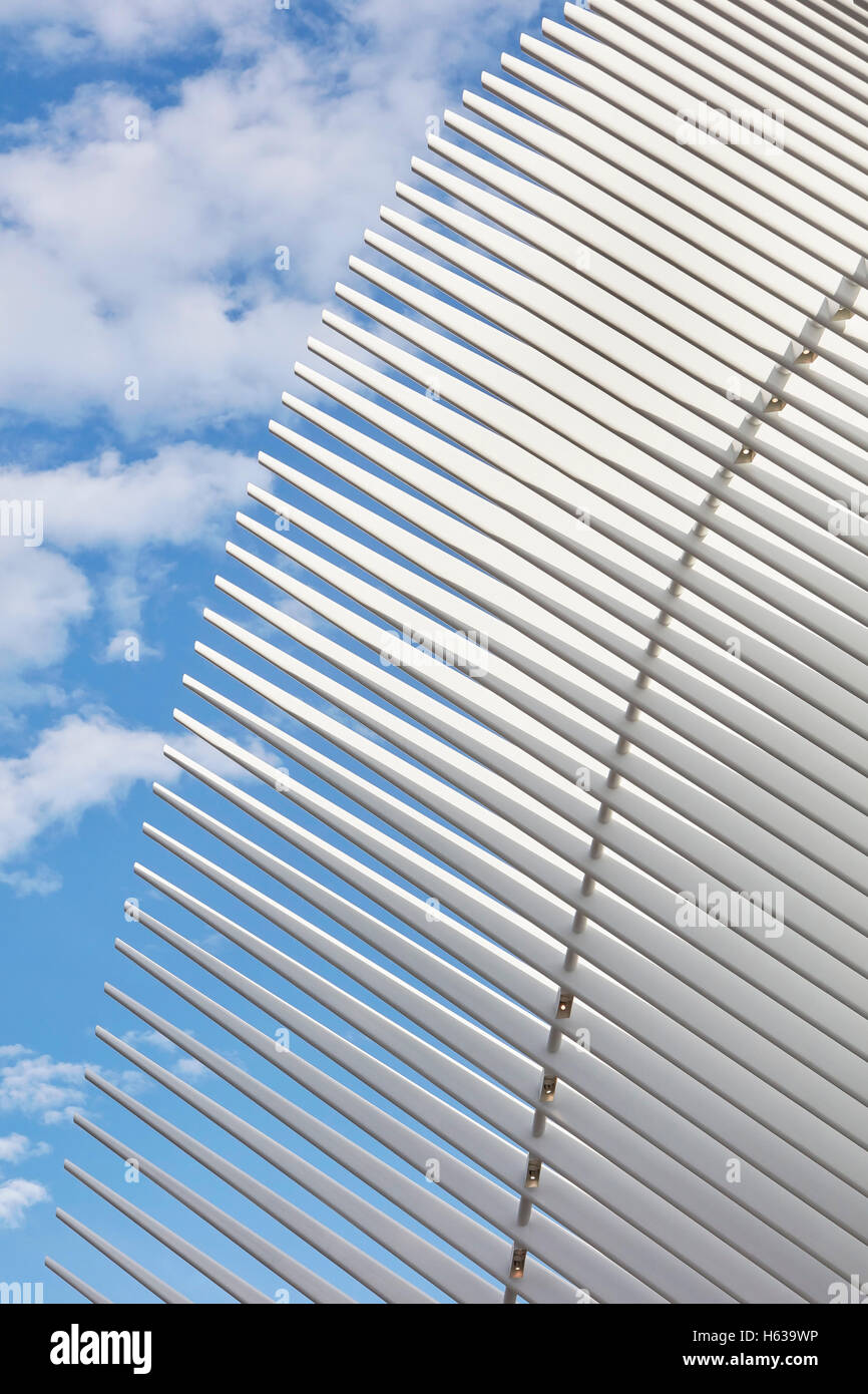 Résumé détail. L'Oculus, World Trade Center Transportation Hub, New York, United States. Architecte : Santiago Calatrava, 2016. Banque D'Images