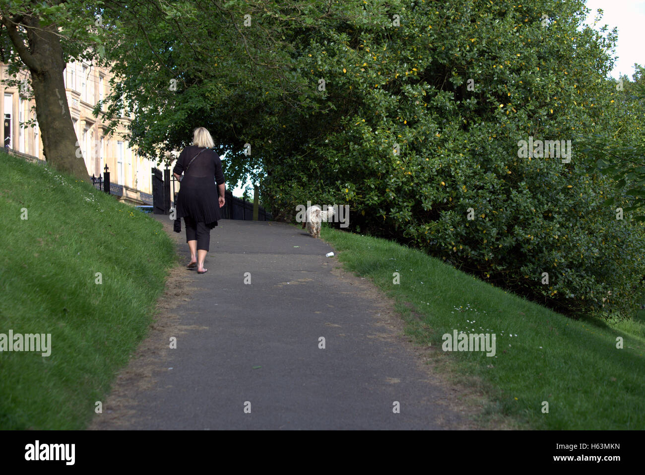 Woman walking dog in Glasgow Kelvingrove Park qui contient à la fois l'université et le musée dans la zone du parc Banque D'Images