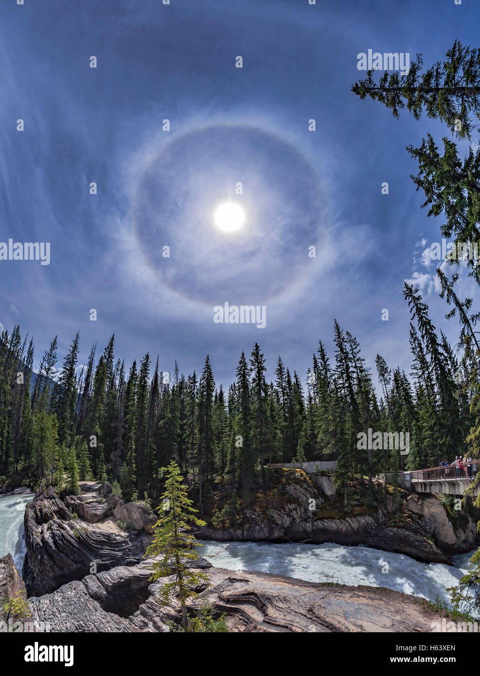 Un panorama d'un vertical 22° Halo solaire dans le ciel au-dessus de la cascade et le pont naturel sur la rivière Kicking Horse à Yoho Nati Banque D'Images