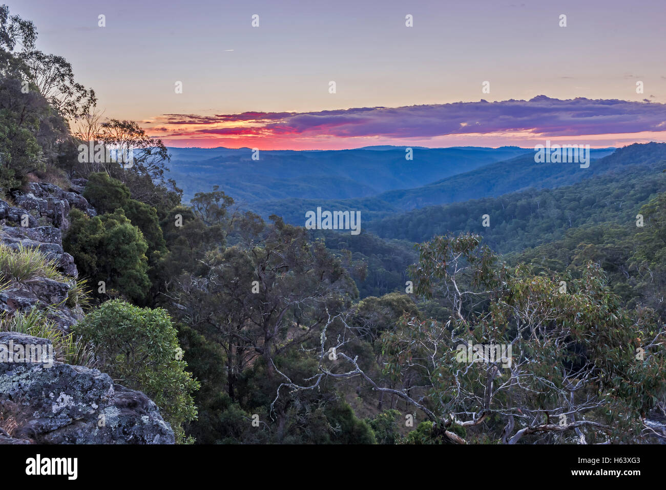 Coucher du soleil à Victoria Falls sur la Cascade Chemin entre Armidale et Dorrigo, NSW, Australie. Ce sont les New England Tablelands, bu Banque D'Images