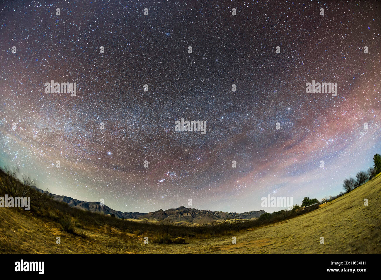 Orion et le nord de constellations hivernales et Milky Way mise à l'aube sur les monts Chiricahua, au sud-ouest de l'Arizona, N Banque D'Images