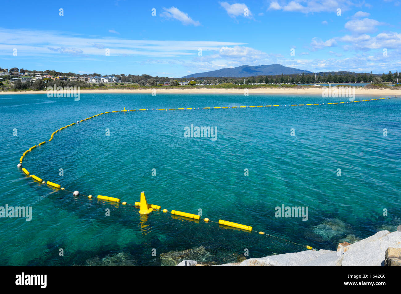 Une zone protégée par des requins, net Bar Beach South, Rumes, New South Wales, NSW, Australie Banque D'Images