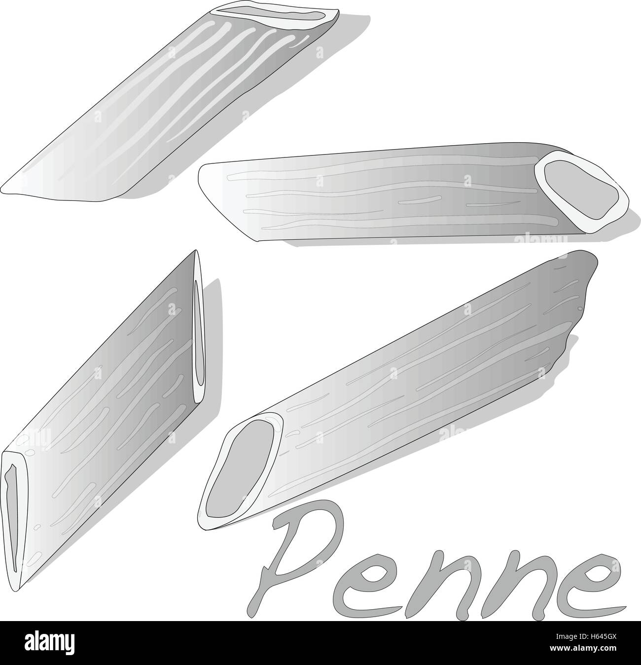 Pennes cuits vector isolated Illustration de Vecteur