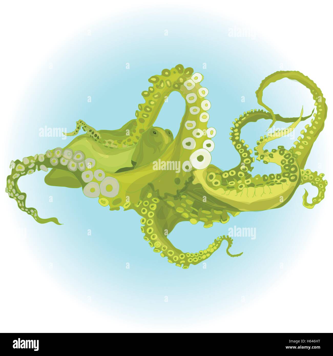 Dessin vectoriel d'une pieuvre/isolé Kraken Illustration de Vecteur