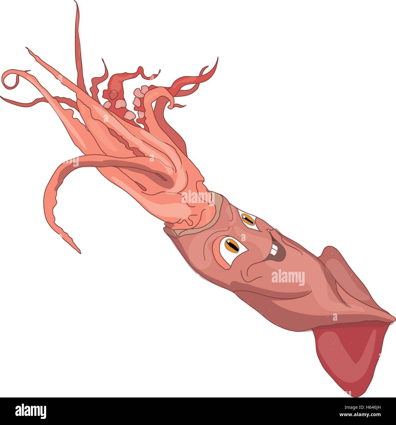Squid, calamary isolé sur fond blanc. Illustration de Vecteur