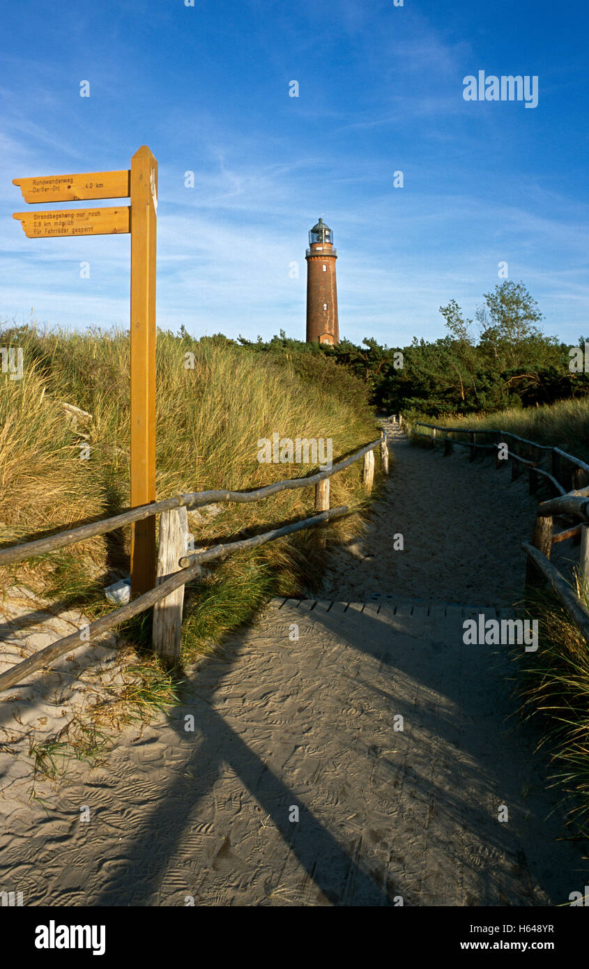 Darss phare, Fischland-Darss-Zingst, Mecklembourg-Poméranie-Occidentale Banque D'Images