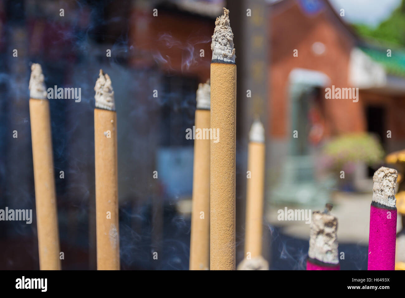 Snake Temple, Penang, Malaisie Banque D'Images