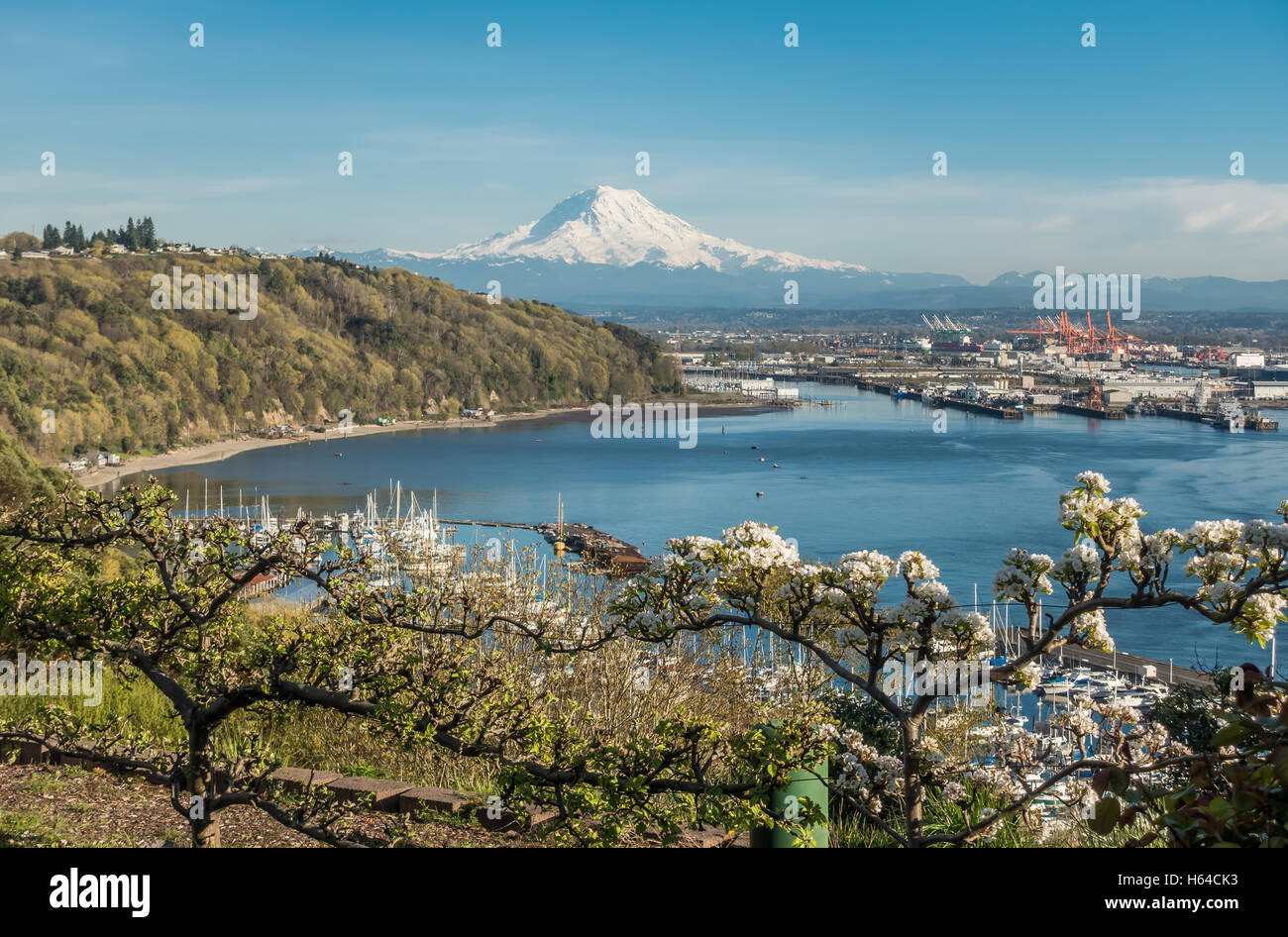 Majestueux Mont Rainier domine le port de Tacoma. Banque D'Images