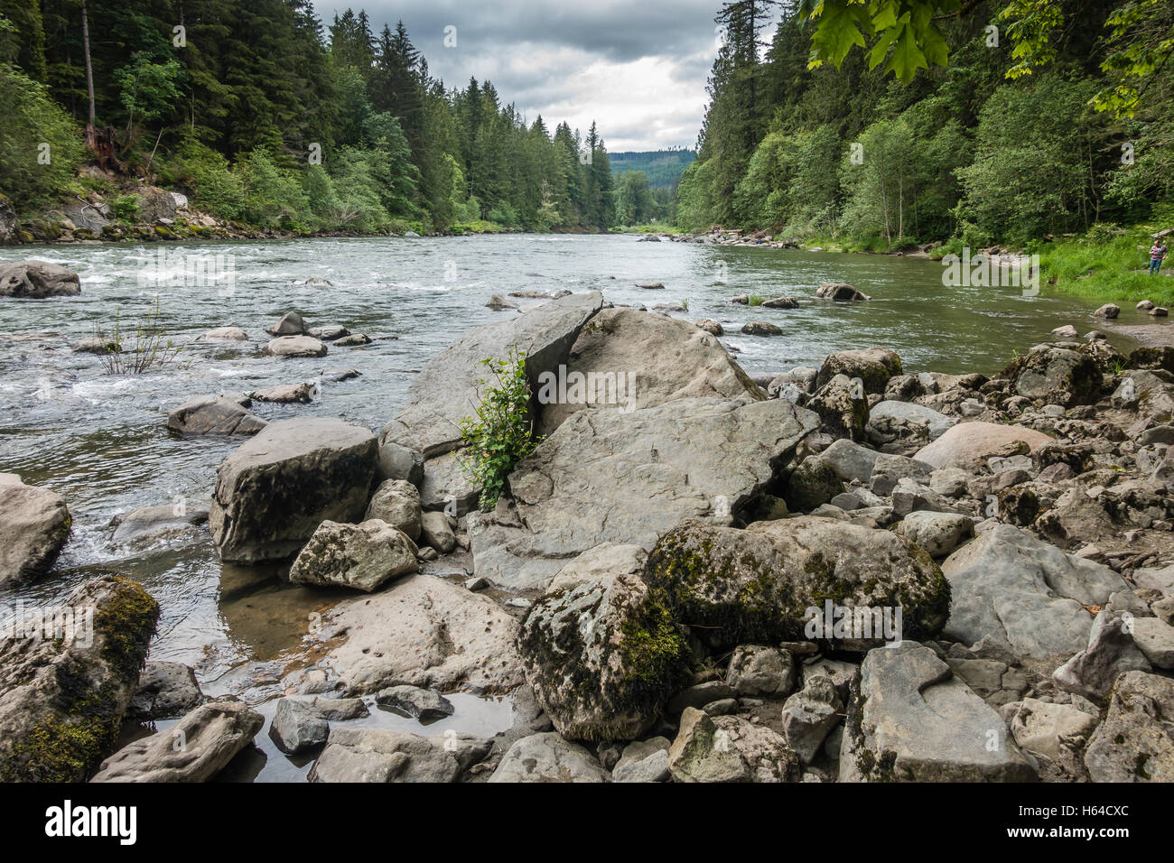 Une vue de la rivière Snoqualmie avec rochers au premier plan. Banque D'Images