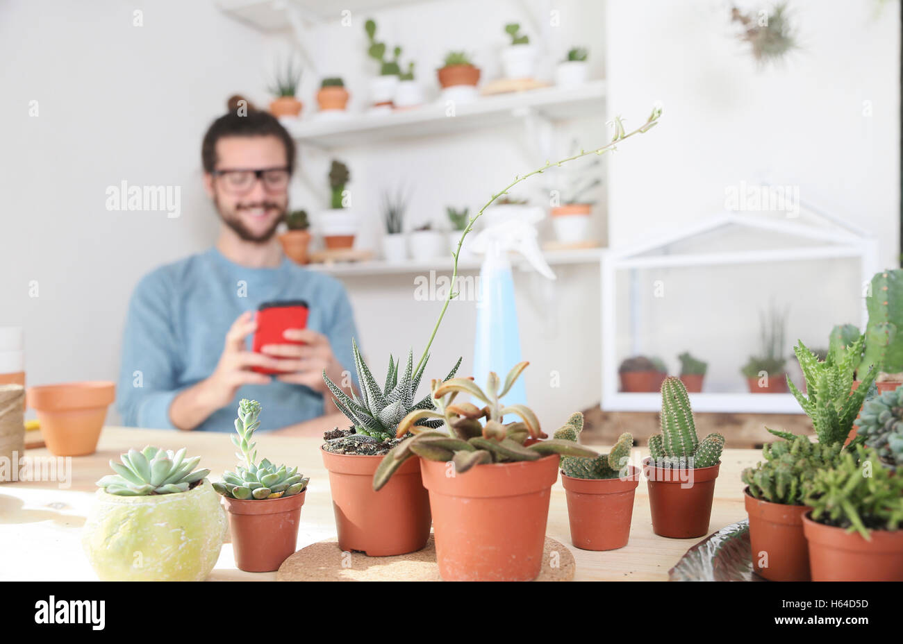 Jeune homme avec téléphone cellulaire derrière collection de cactus Banque D'Images