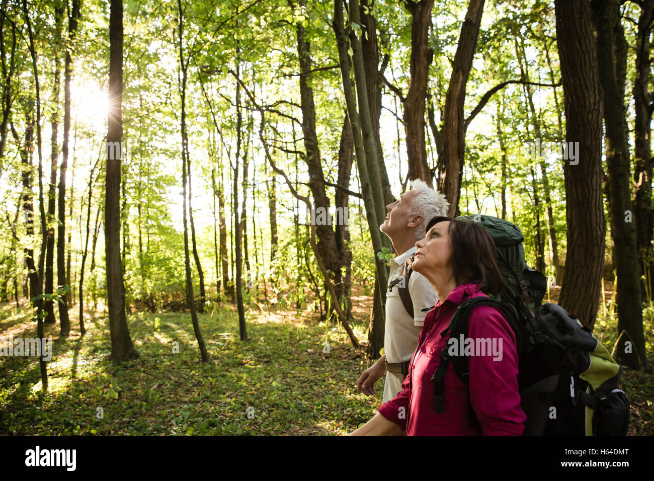 Couple de la randonnée dans une forêt Banque D'Images