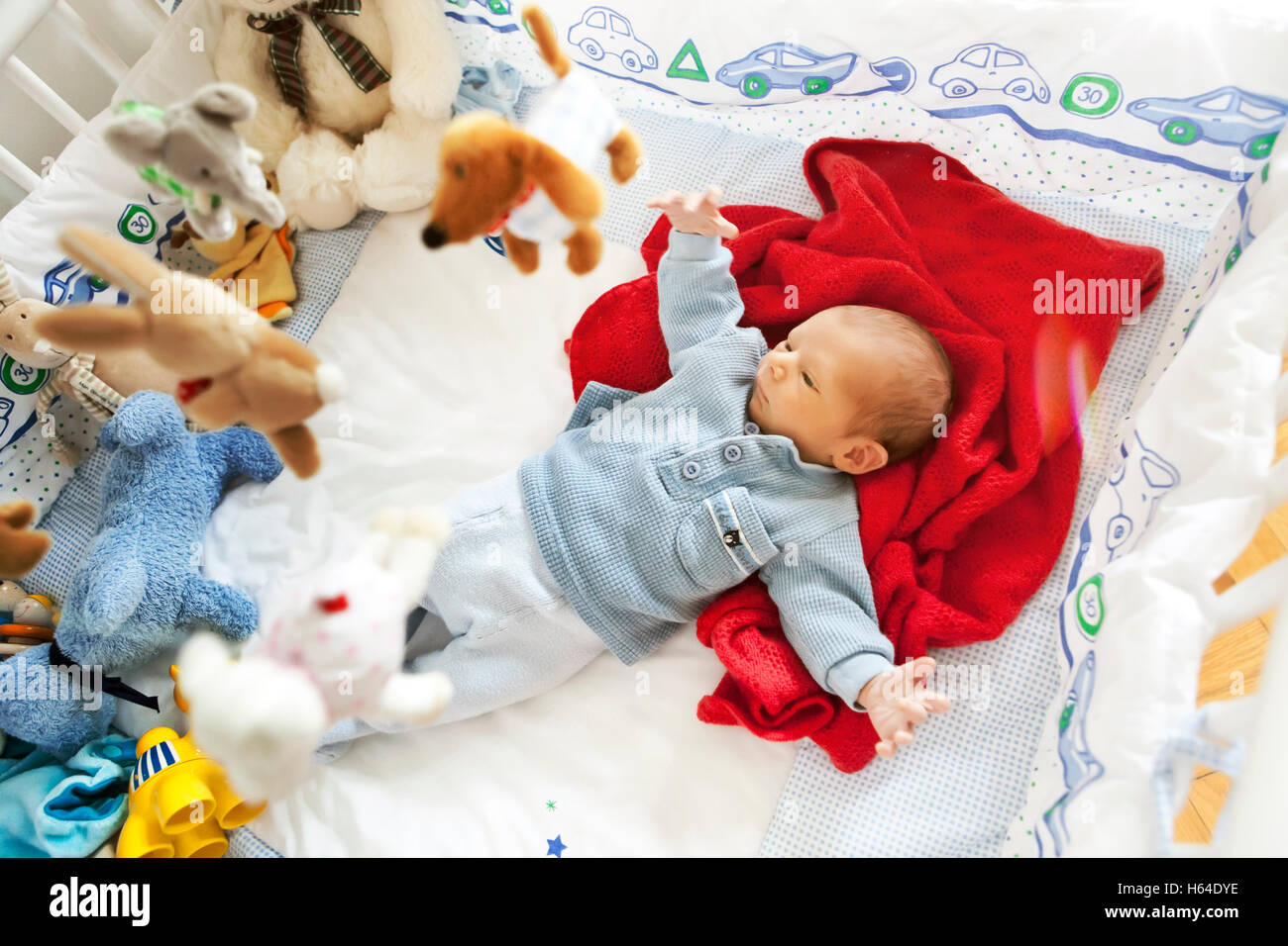 Les deux semaines dans le parc de bébé garçon Banque D'Images