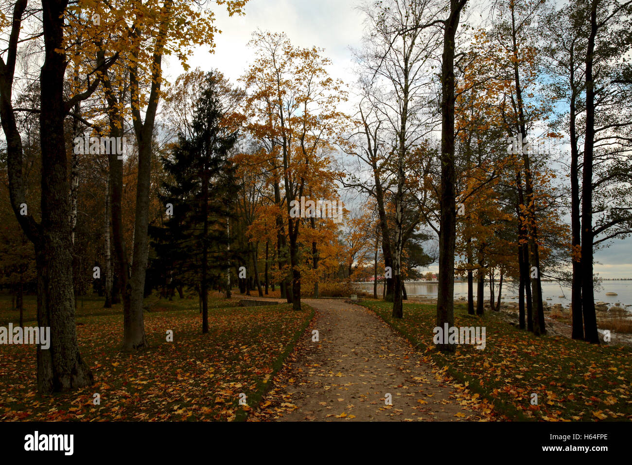 Paysage d'automne dans le parc Banque D'Images