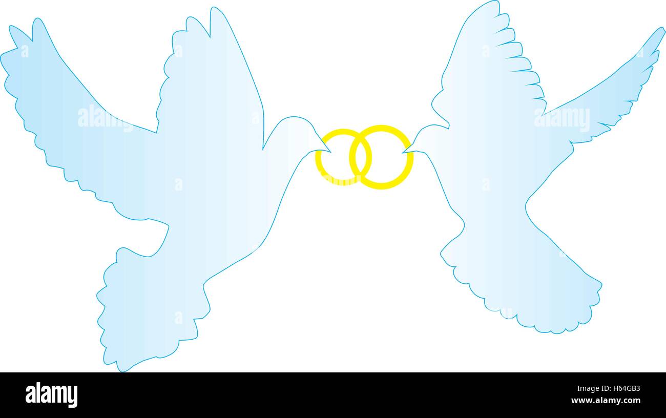 Illustration vecteur de colombes avec les anneaux de mariage Illustration de Vecteur