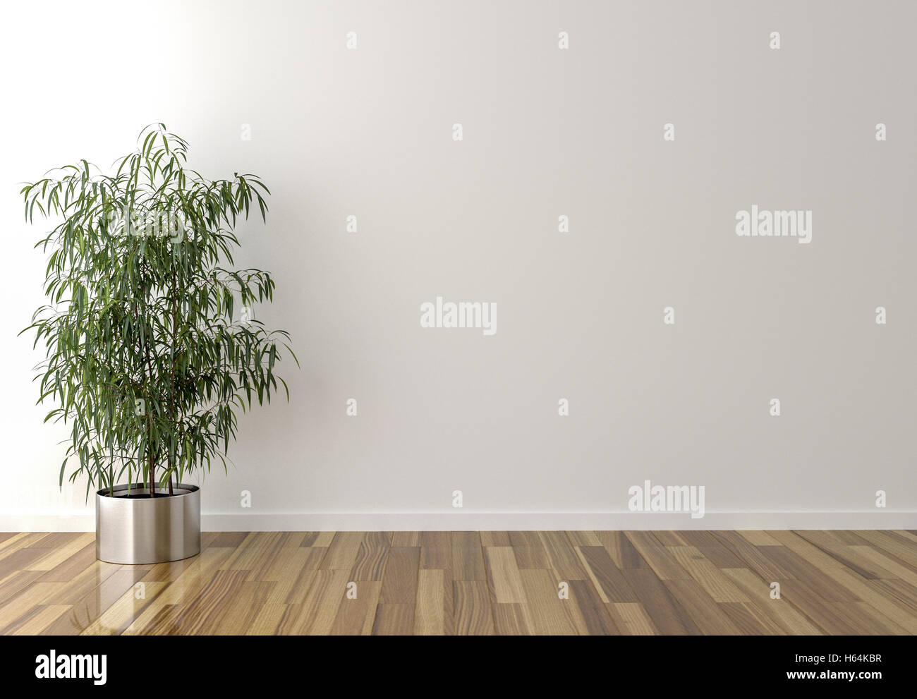 Chambre vide avec plante sur le côté gauche Banque D'Images