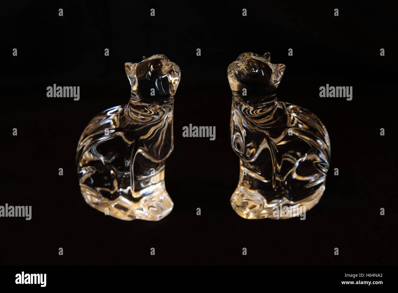 Deux figurines en verre de cristal de Waterford de chats sur un fond noir. Les ornements de verre Banque D'Images