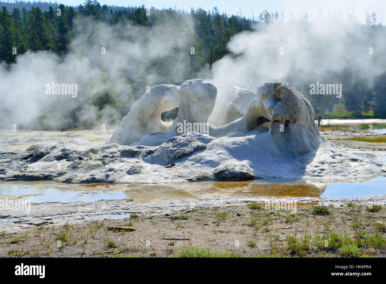Grotte de vapeur dans la région de geyser Geyser basin de Parc National de Yellowstone, Wyoming Banque D'Images