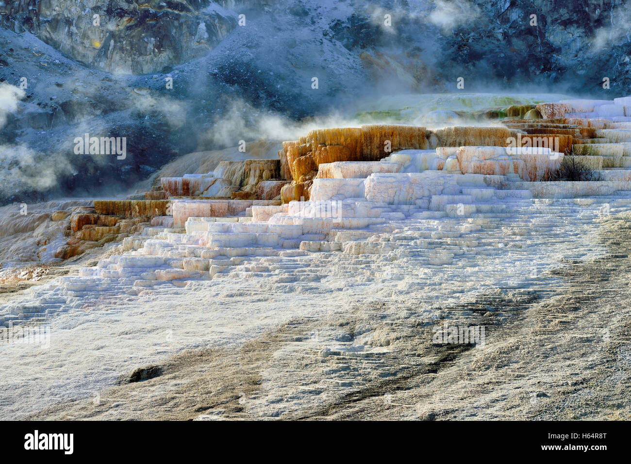 Terrasse monticule dans Mammoth Hot Springs, Parc National de Yellowstone, Wyoming Banque D'Images