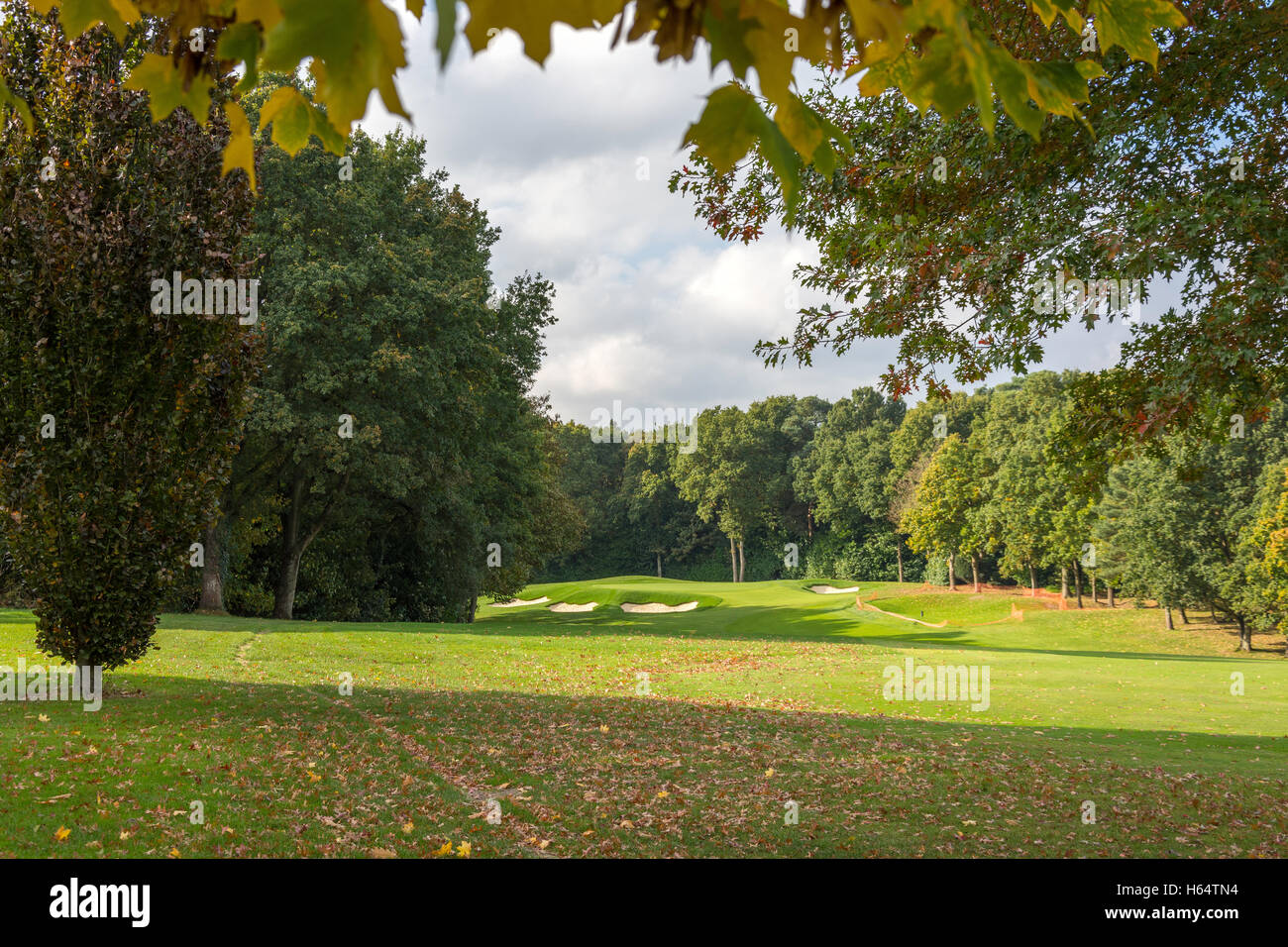 Le golf fairway et bunkers au Wentworth Golf Club & Resort, Virginia Water, Surrey, Angleterre, Royaume-Uni Banque D'Images