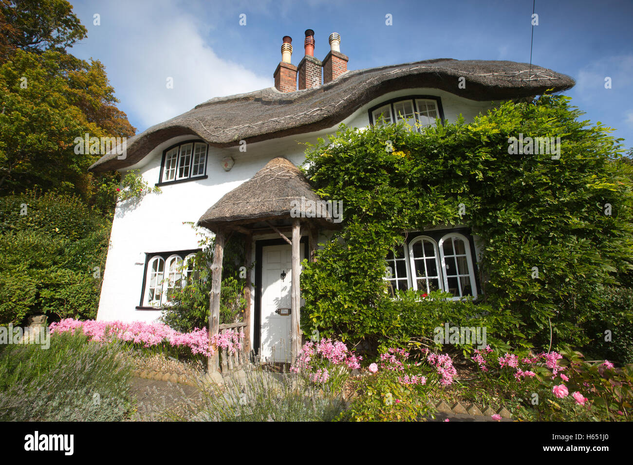 Cottage de ruche, Swan Green, Lyndhurst, New Forest, Hampshire, England, UK Banque D'Images