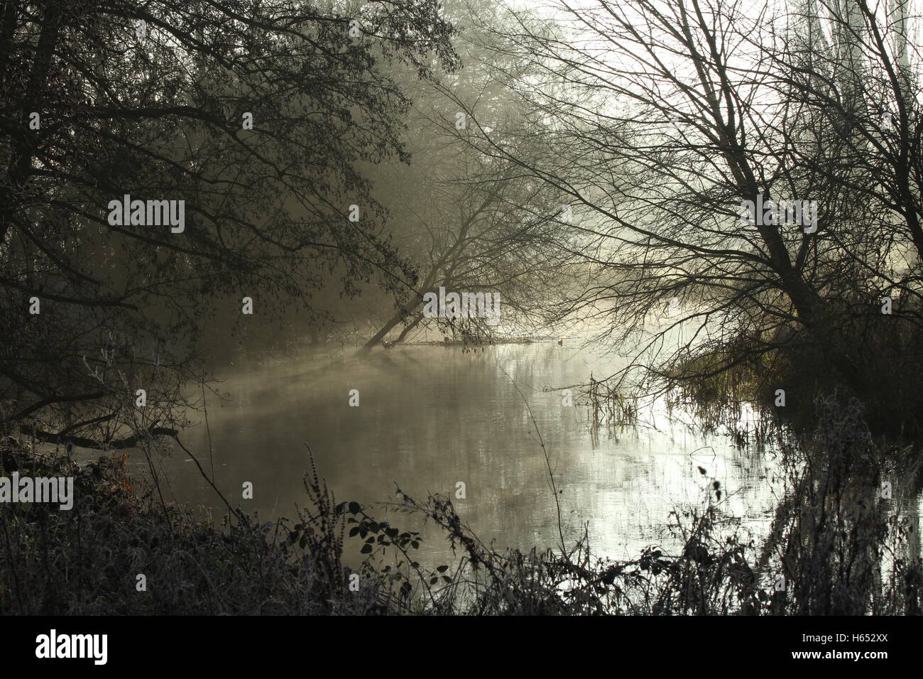 Froid matin d'hiver sur la rivière Colne, Parc du Château de Colchester, Essex. Mist est passé de l'eau avec le soleil matinal. Banque D'Images