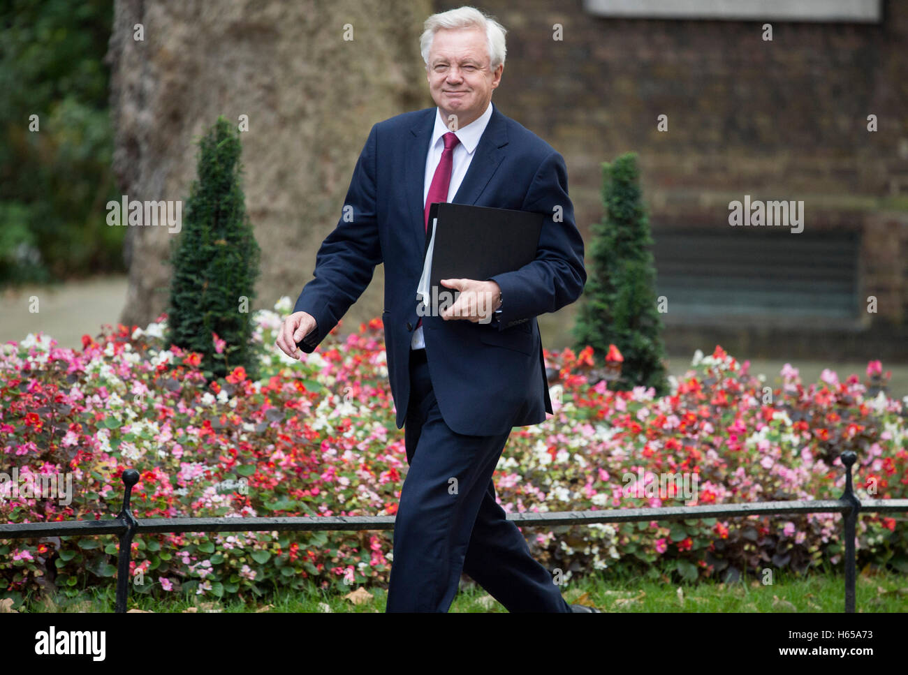 Londres, Royaume-Uni. 24 Oct, 2016. Downing Street.london.Premier ministre Theresa peut répond aux dirigeants des 3 gouvernements décentralisés avant les négociations du Royaume-Uni à quitter l'UE.pic montre Brexit Ministre David Davies Crédit : PAUL GROVER/Alamy Live News Banque D'Images