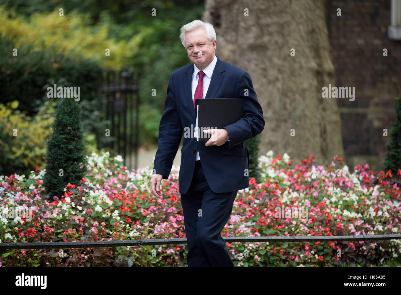 Londres, Royaume-Uni. 24 Oct, 2016. Downing Street.london.Premier ministre Theresa peut répond aux dirigeants des 3 gouvernements décentralisés avant les négociations du Royaume-Uni à quitter l'UE.pic montre Brexit Ministre David Davies Crédit : PAUL GROVER/Alamy Live News Banque D'Images