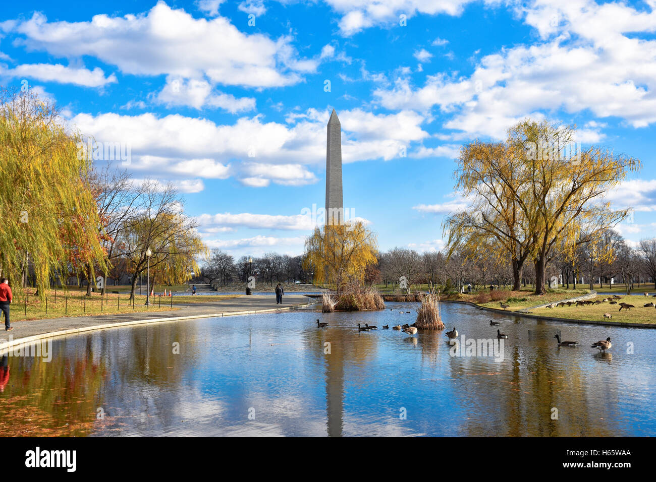 Washington DC, USA. Vue sur le Washington Monument de Constitution Gardens près de la Maison Blanche. Banque D'Images