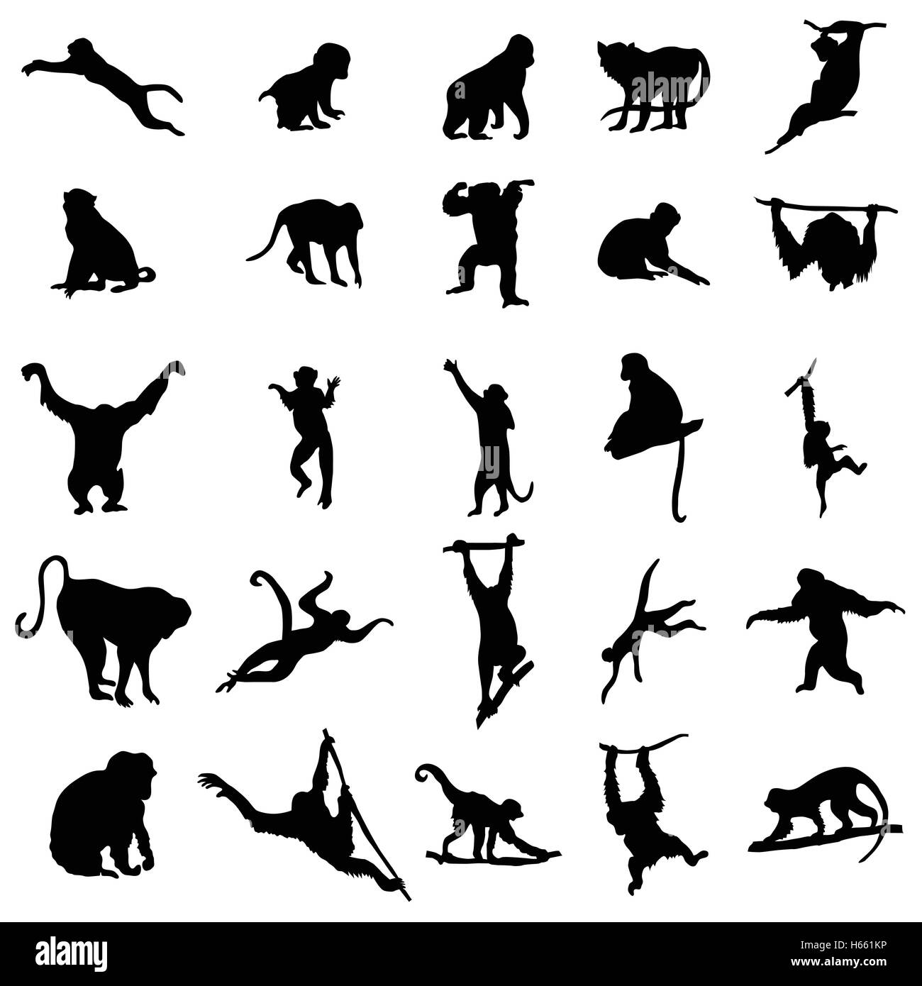 Ape et Monkey collection Illustration de Vecteur