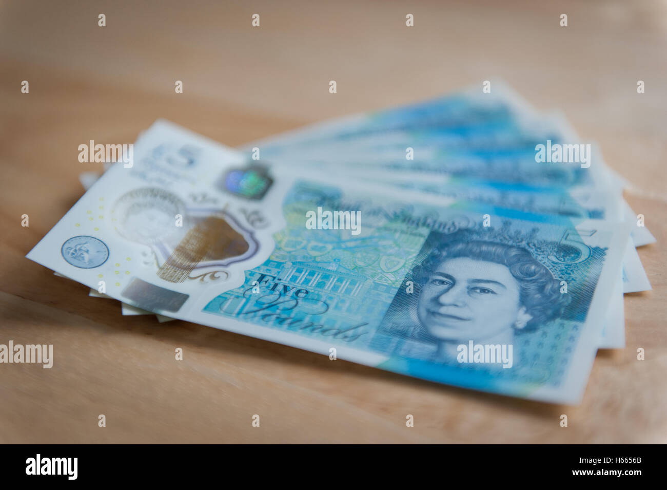 Cinq nouvelles notes livre Banque D'Images
