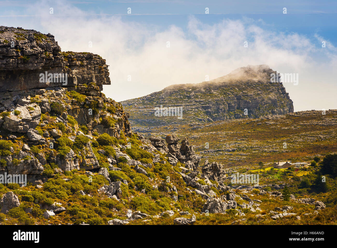 Paysage sur la Montagne de la table au Cap, Afrique du Sud Banque D'Images