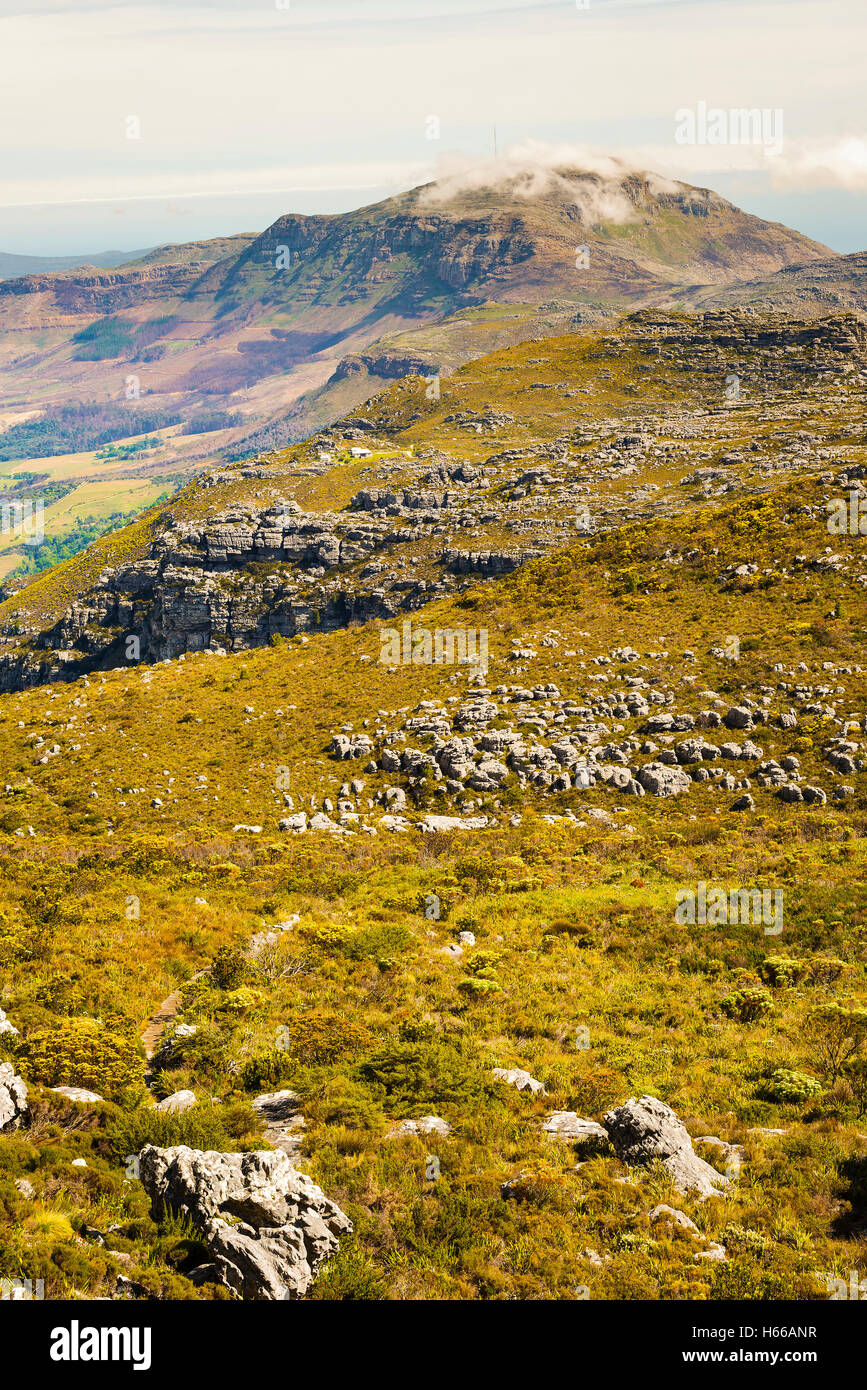 Vue sur le sommet du parc national de Table Mountain à Cape Town, Afrique du Sud Banque D'Images