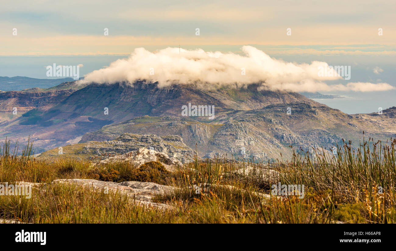 Vue panoramique sur le parc national de Table Mountain à Cape Town, Afrique du Sud Banque D'Images