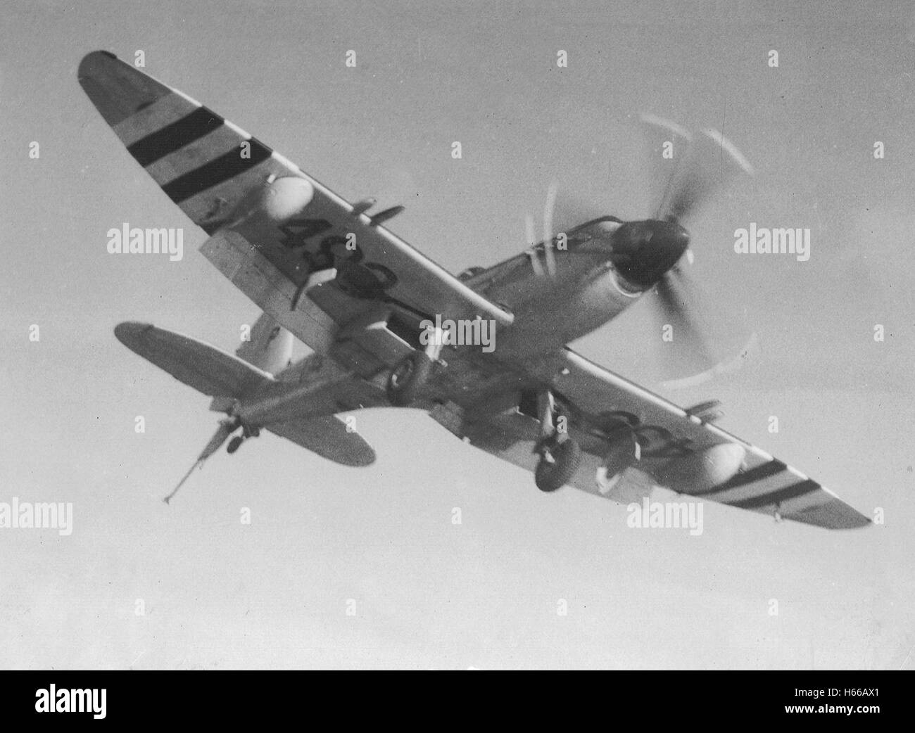 Un Supermarine Seafire opérant à partir de porte-avions de la Royal Navy, le HMS Triumph durant la guerre de Corée Banque D'Images