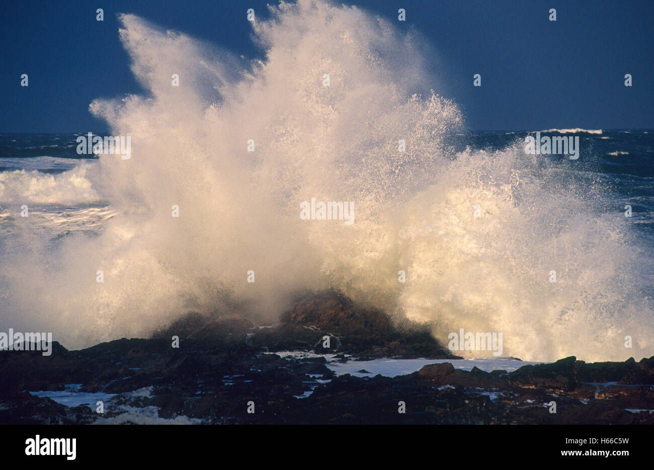 Tempête atlantique spray, péninsule d'Inishowen, comté de Donegal, Irlande. Banque D'Images