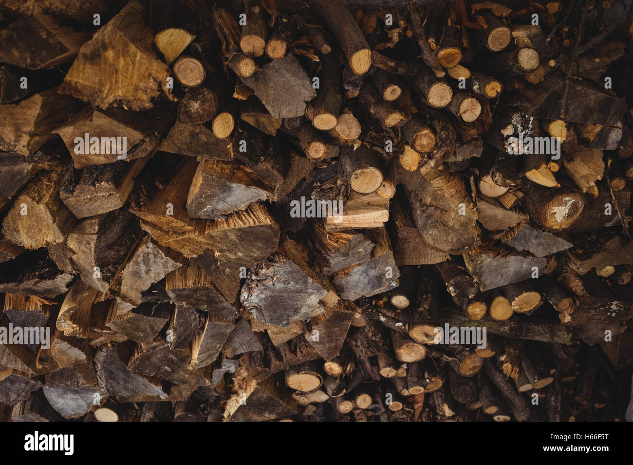 Close-up de bois de chauffage Banque D'Images