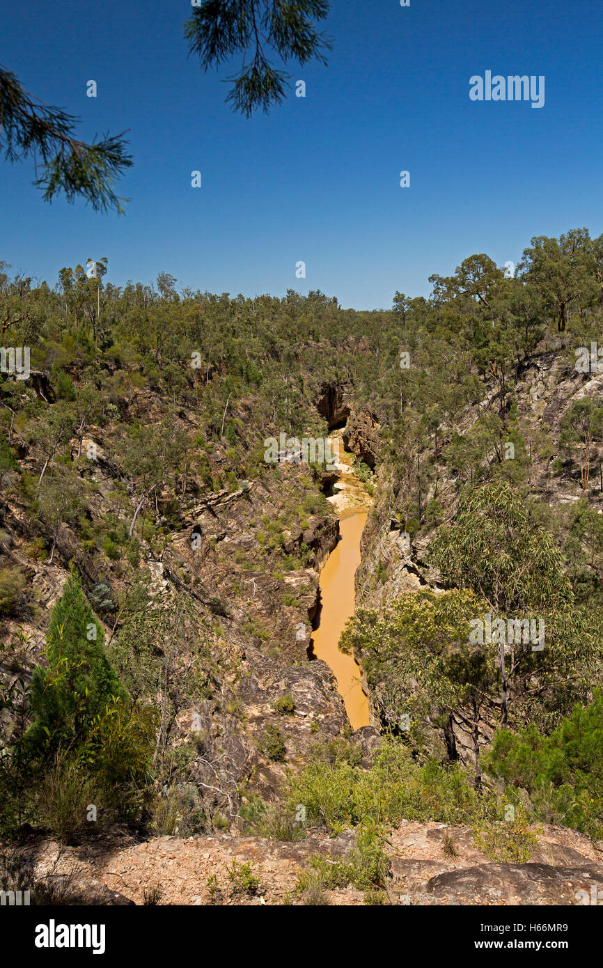 Vue spectaculaire des gorges profondes Robinson & stream à la base des falaises de grès robuste enveloppée dans les arbres dans le parc national de l'expédition à distance en Australie Banque D'Images