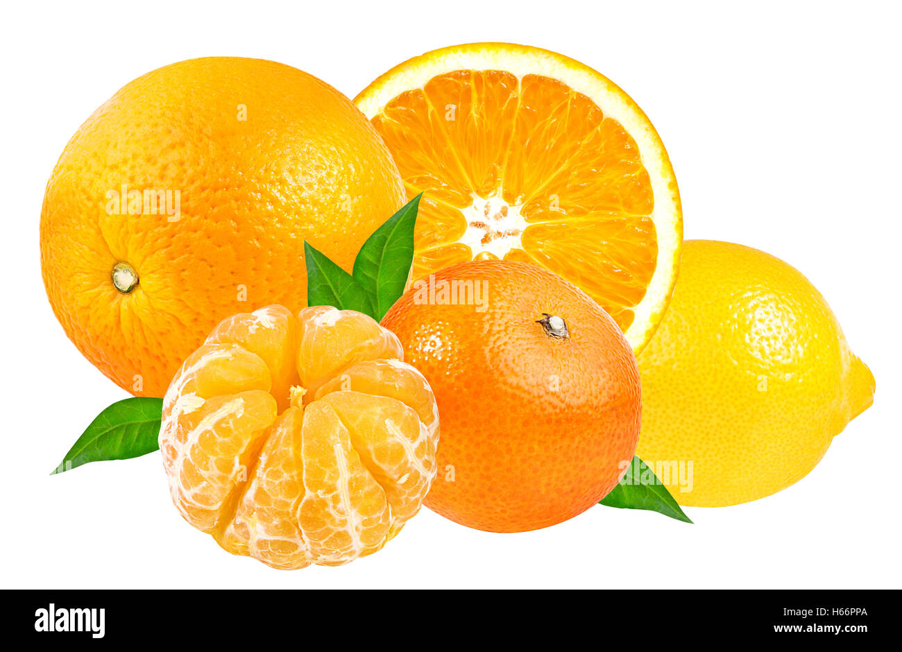 Ensemble d'agrumes (mandarine, orange, citron) isolé sur fond blanc Banque D'Images
