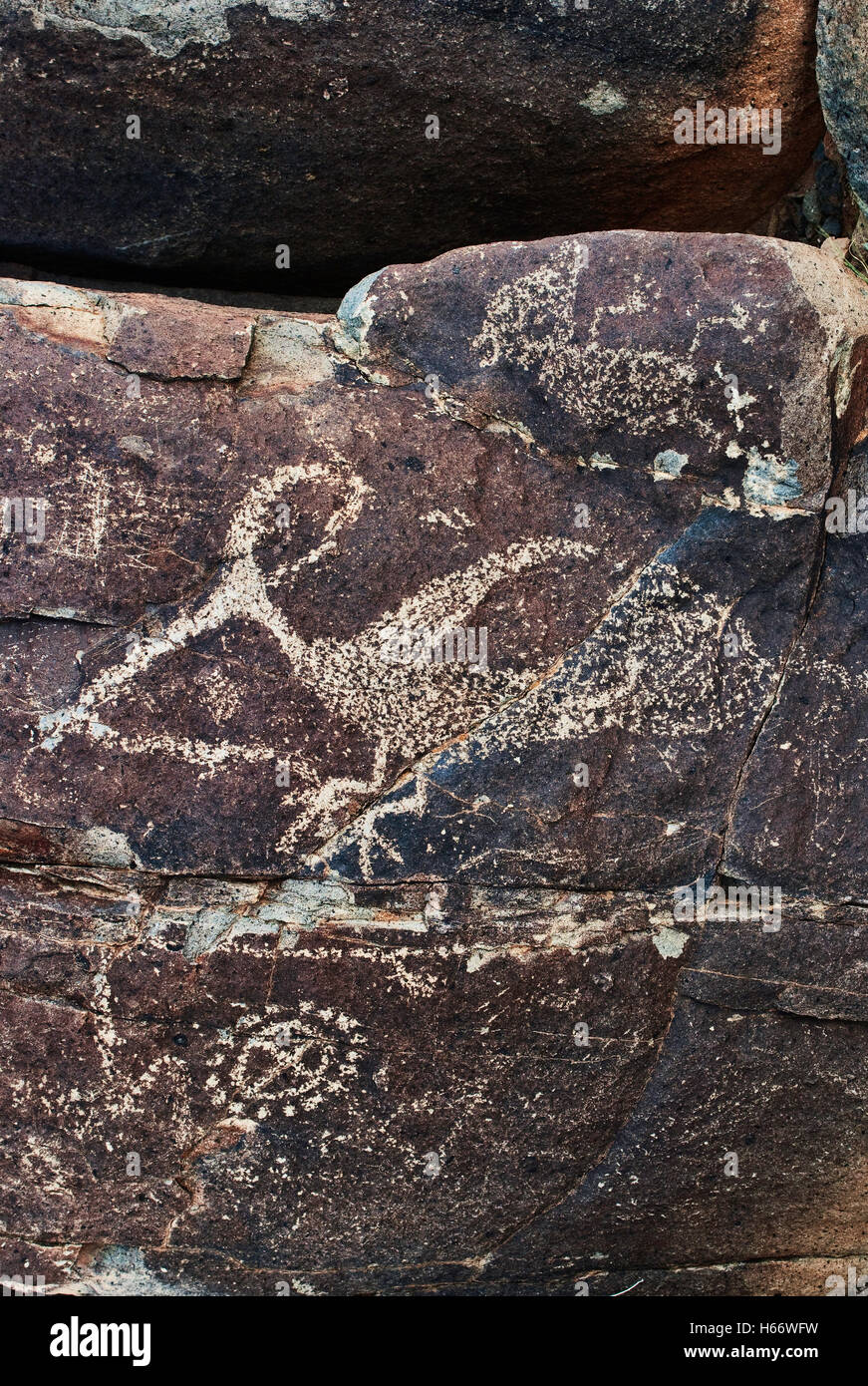 Jornada Mogollon style rock art aux Trois Rivières Site de pétroglyphes, Désert de Chihuahuan près de la Sierra Blanca, New Mexico, USA Banque D'Images
