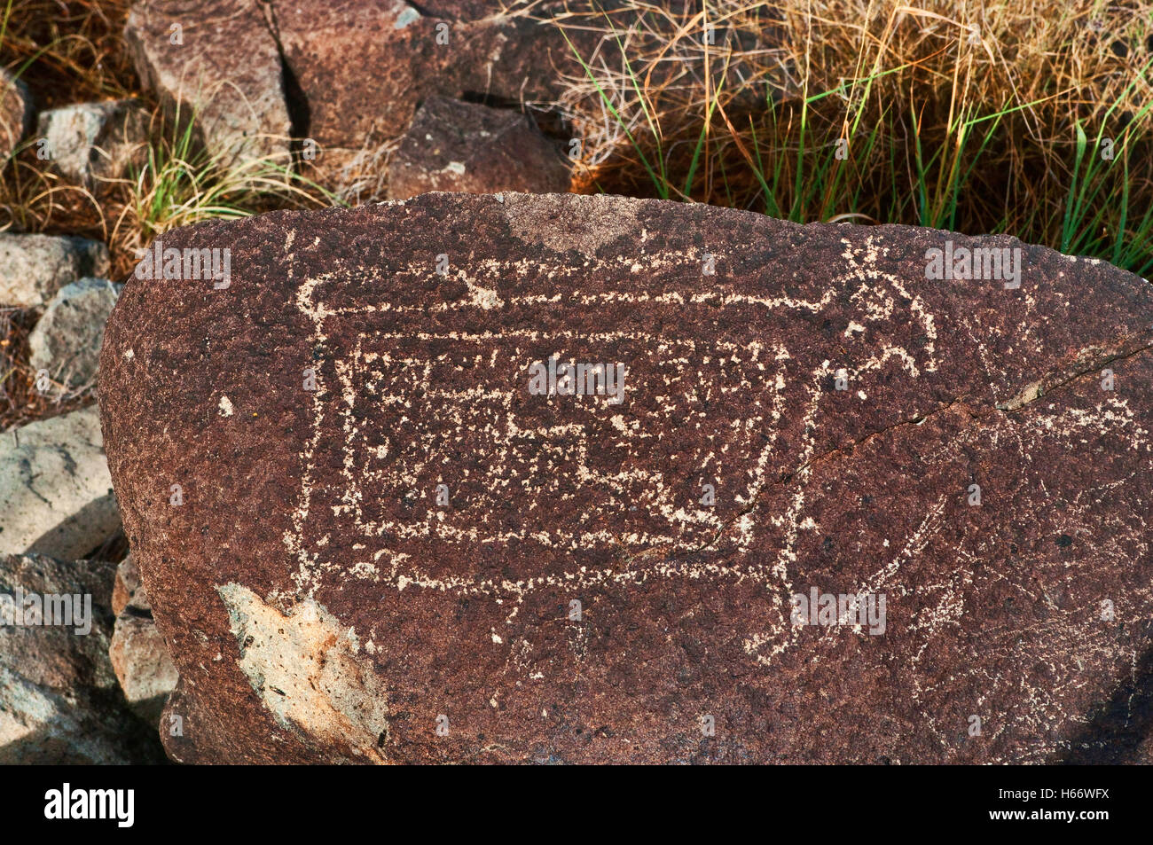 Jornada Mogollon style rock art aux Trois Rivières Site de pétroglyphes, Désert de Chihuahuan près de la Sierra Blanca, New Mexico, USA Banque D'Images