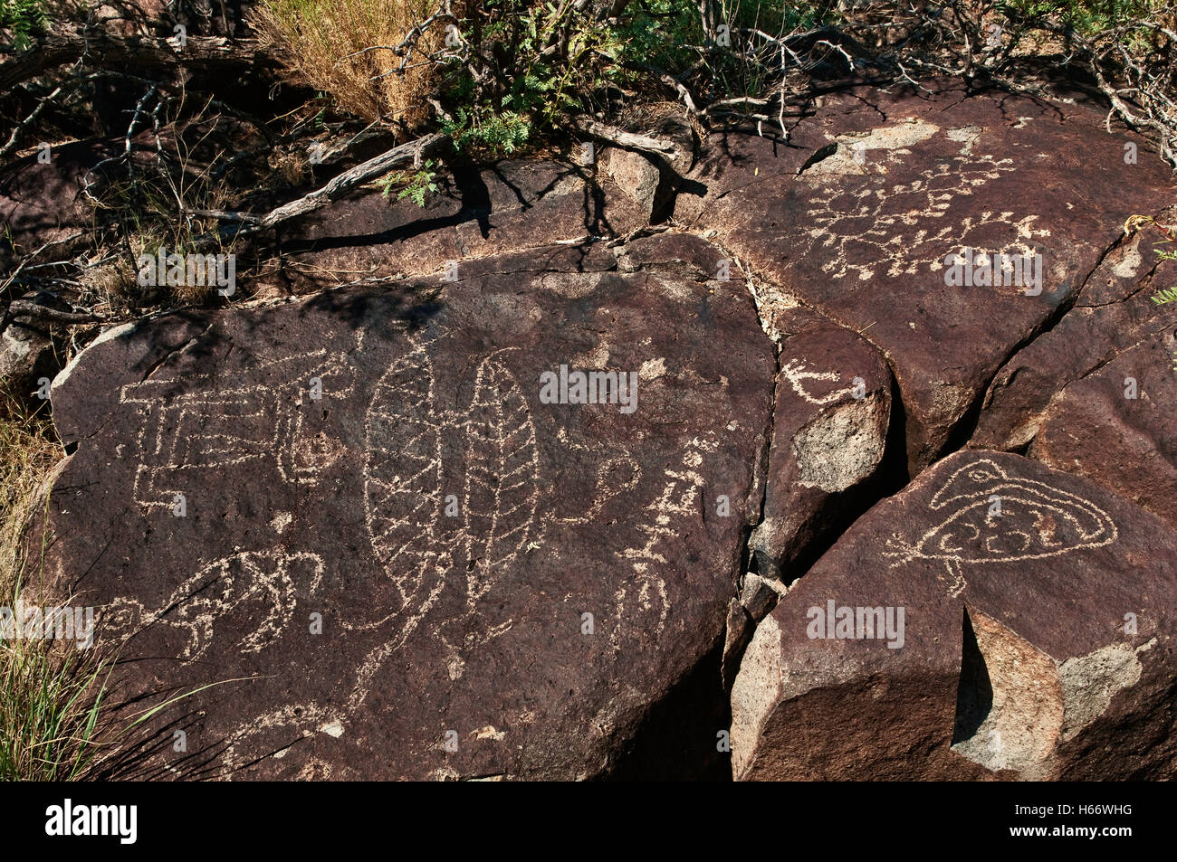 Jornada Mogollon style rock art aux Trois Rivières Site de pétroglyphes, Désert de Chihuahuan près de la Sierra Blanca, New Mexico, USA Banque D'Images