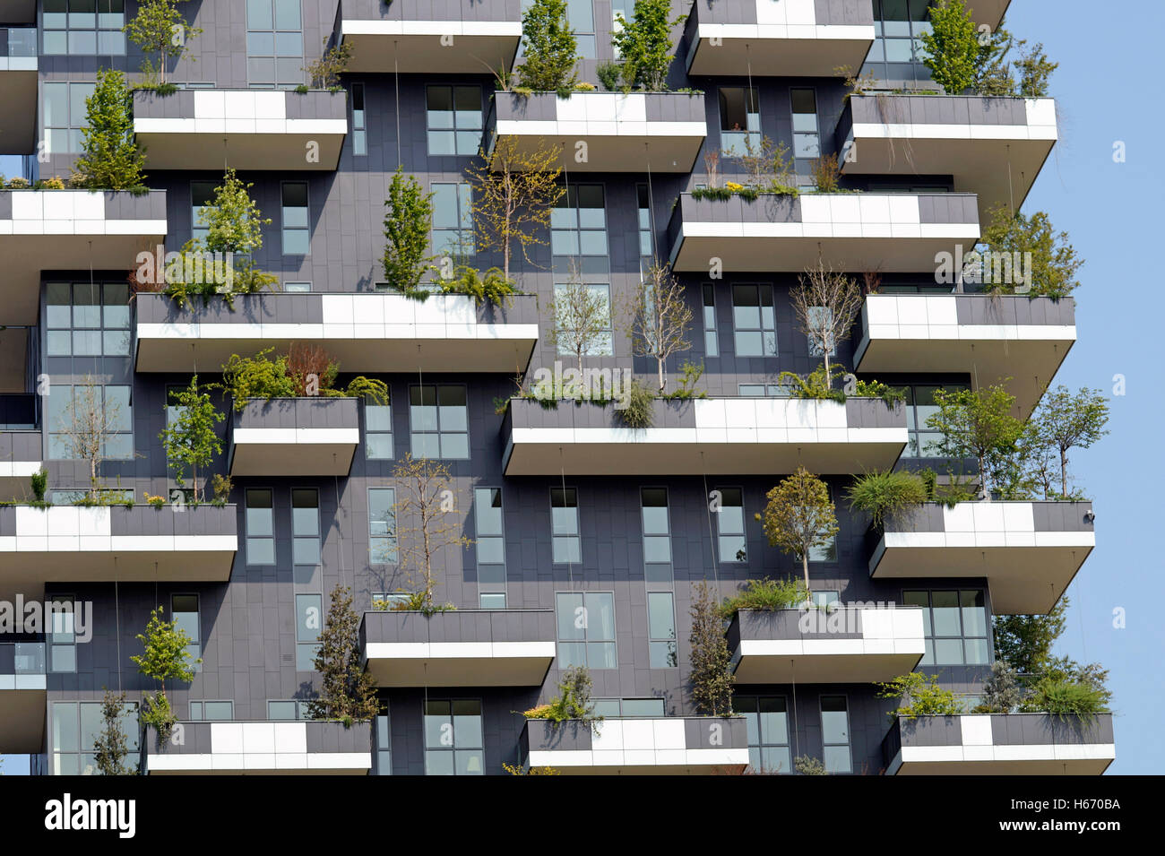 Balcon, fleurs, jardin, fleur, vert, d'un balcon, terrasse, Calgary, moderne, neuf, immeuble, usine, printemps, orange, toit, hom Banque D'Images